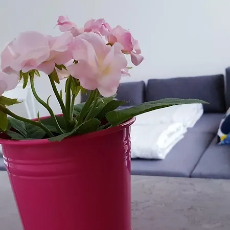 Design And Quiet Second Home. Vas Druhy Domov. * Kamenicky Senov